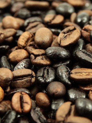 The Ultimate Coffee Lover’s Paradise: Inside the Trendiest Coffee Lifestyle Store