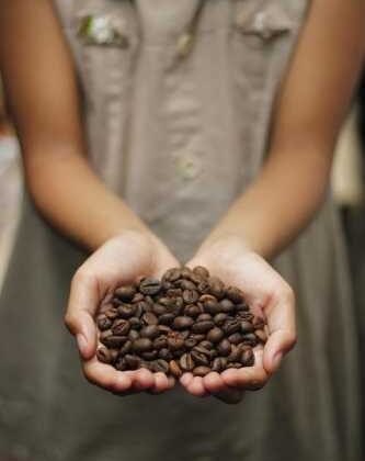 Unlock Coffee Bliss: Must-Have Accessories for Every Brew!