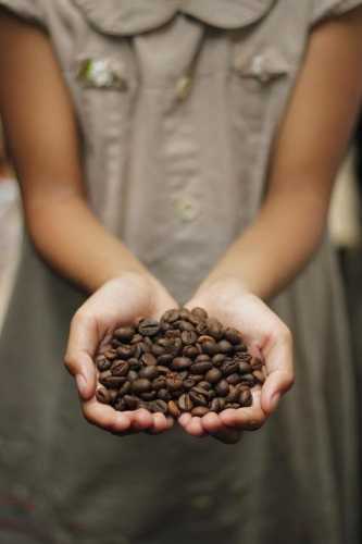 Unlock Coffee Bliss: Must-Have Accessories for Every Brew!