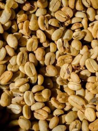 Brewing Love: All You Need to Know About Coffee Beans!