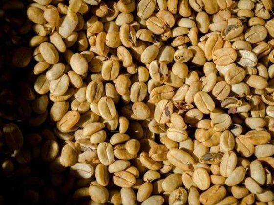 Brewing Love: All You Need to Know About Coffee Beans!