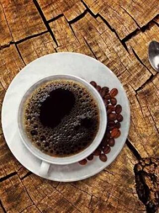 Unlocking the World of Coffee Beans: A Fun Guide!