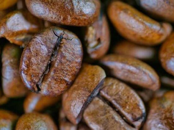 Unlocking the Brew: A Casual Guide to Coffee Bean Types!