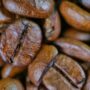 Unlocking the Brew: A Casual Guide to Coffee Bean Types!
