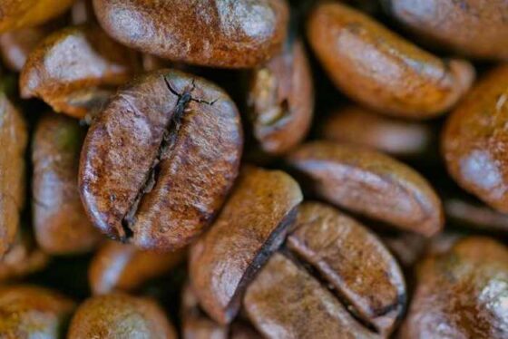 Why Coffee Beans Are Your New Best Friend: Here’s Why!