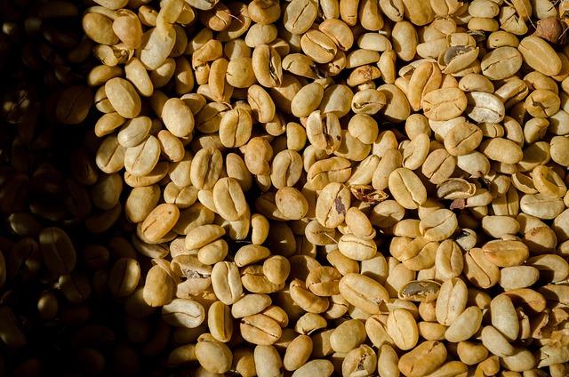 The Perfect Pairing: Soil, Climate, and Conditions for Happy Coffee​ Plants